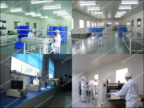 數(shù)字時(shí)代廣告業(yè)務(wù)的演進(jìn)與未來展望